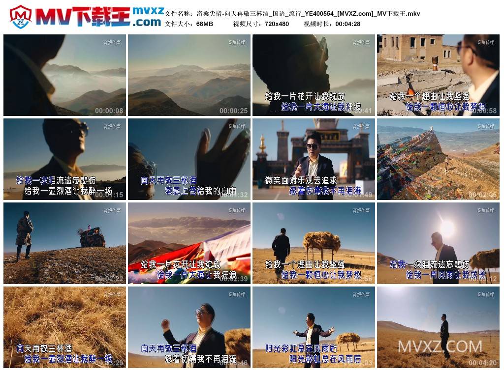 洛桑尖措-向天再敬三杯酒_国语_流行_YE400554